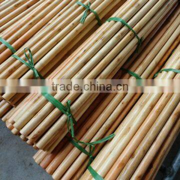 1200mm x 22mm Varnished Wooden Mop Handle