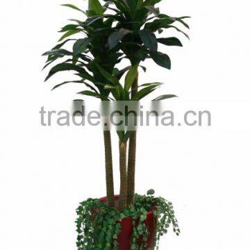 Artificial Mini Palm Trees and Palm Tree Landscaping photo-5