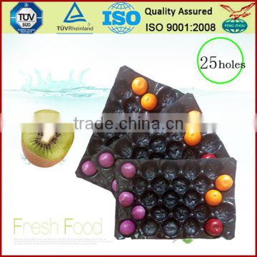 Plastic Stackable Fruit Tray