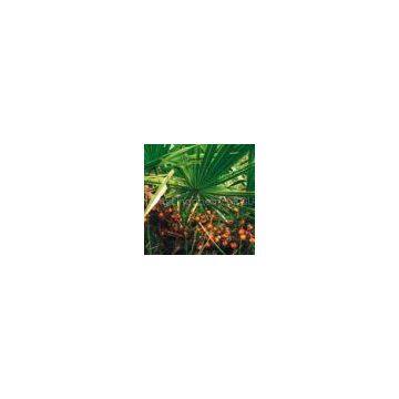 Saw Palmetto Extract