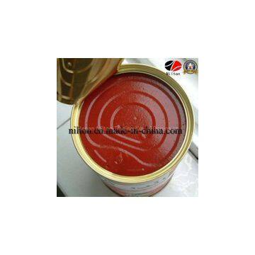 Xinjiang Supplying for Nilton Tomato Paste Ketchup