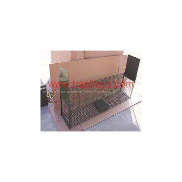 Galvanized Animal Trap