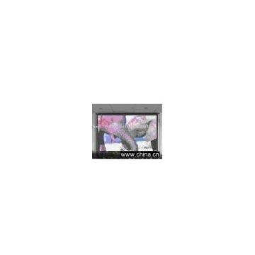 Indoor full color LED Display