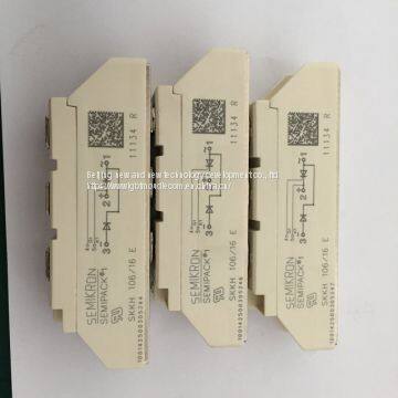 SEMIKRON IGBT Model：SK60GAR125,SK8GD126