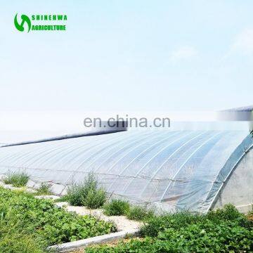 Single Tunnel Sunlight Greenhouse For Plant Growth For Roses