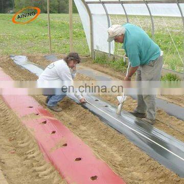 Perforated Black Agriculture Plastic Mulch Film with Punch Hole