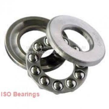 ISO Bearing