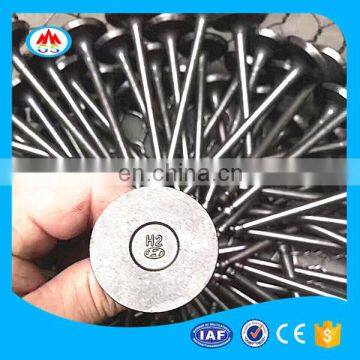 Aftermarket Car Engine Valves For VW Volkswagen Mk2 Mk3 Mk4 Mk6 Mk7 Jetta With Performance Parts and Accessories photo-6