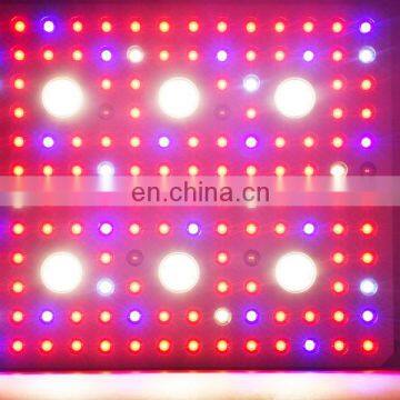 New Product 3000W Grow Light Plant Lights for Indoor Plants LED Lamp Full Spectrum photo-5