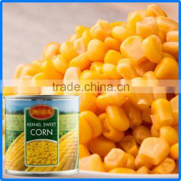 Factory supply various of types of corn canned sweet corn