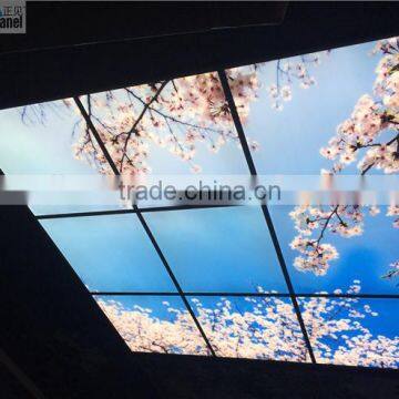 Japanese Style Sakura Sky Ceiling Panel Light photo-4