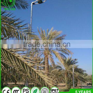 bridgelux chip COB light source low power Led street light