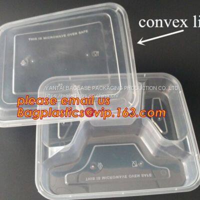 Takeaway Food Container Disposable Plastic Lunch Bento Box,square PLA Plastic Food Container,fast Food Package Essential photo-4