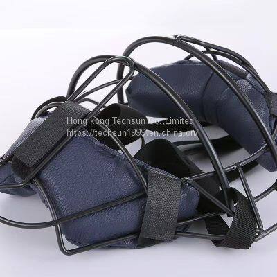 Protective mask