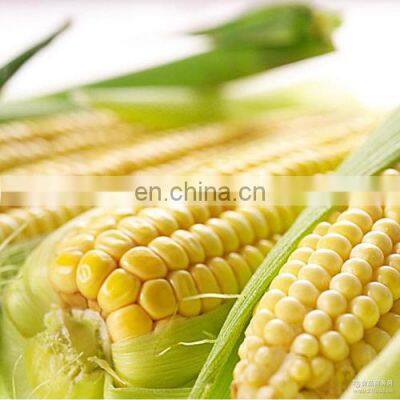 Canned Sweet Corn Processing Production Line photo-3