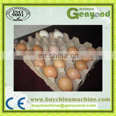 Automatic Production Line Egg Tray Manufacturing Machine photo-2