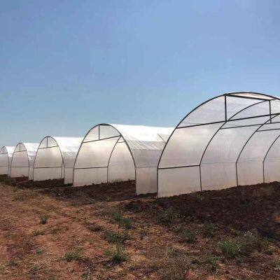 Anti Acid Rain Plastic Cover Woven Greenhouse Film,transparent 200 Micron Waterproof Tarpaulin,UV Block Agriculture Plastic Film
