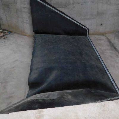 Water Fin Rubber Dam photo-3