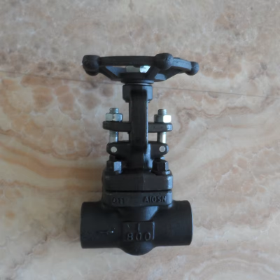 ANSI API 150 1600LB Forged Steel Carbon Steel Stainless Steel Welded Socket High /High Pressure Power Station Globe Valve photo-5