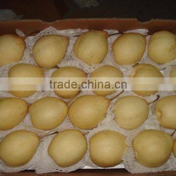 2015 Crop Chinese Fresh Ya Pear in Hot Sale photo-2