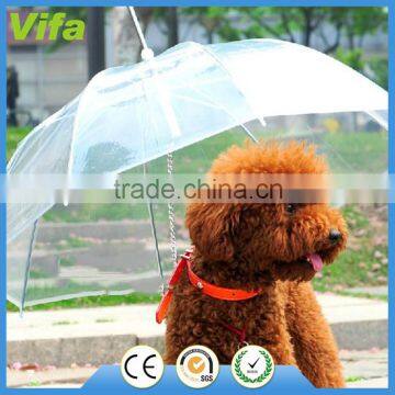 pony walk the dog umbrella with dog rope