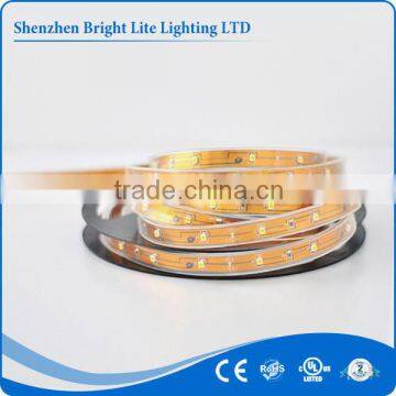 3528 IP68 Warm White 30LED UL certificate waterproof lighting