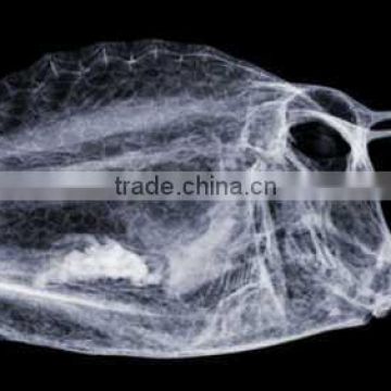 China x ray fish film KND-A/F CE