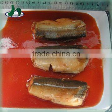 High quality good testinig canned mackerel body part