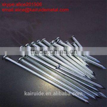 Common Nail/size of Common Nail/iron Nail Factory photo-3