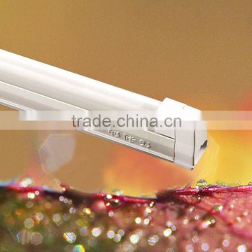 T4 fluorescent tube lamp 8W