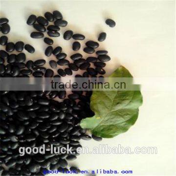 Small Black Kidney Beans photo-3