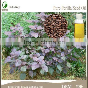 High Quality Perilla Seeds Extract, Perilla Seed Oil, Perilla Oil