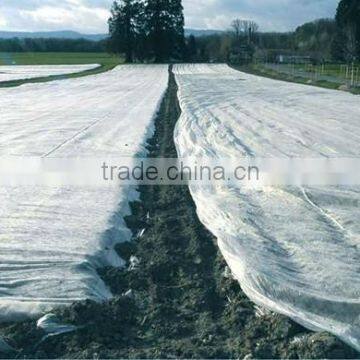 UV Resistant Breathable Agriculture Use pp Non-woven Fabric Ground Cover Fabric photo-6