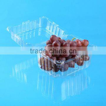 1000g Disposable Plastic Grape Packing Container with High Height