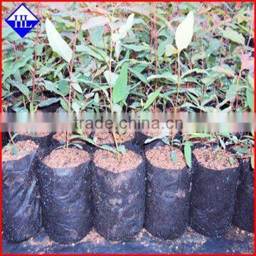 Anti UV nursery spunbond non-woven planting bag