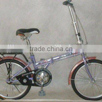 20'' steel ZD-PR folding bike