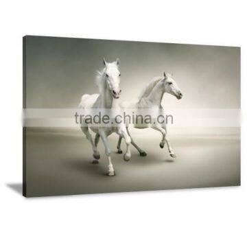 Runny Horse Animal Canvas Printing Art Painting Bedroom decor DWYS64