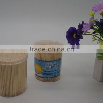 Wooden toothpick in plastic PE holder