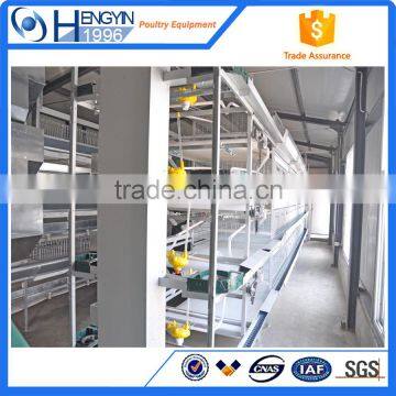 Chicken Farm South Africa Egg Layer Cages photo-6