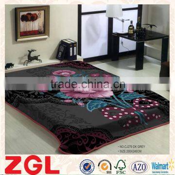 2015 NEW DESIGNS 1ply&2ply high quality hot printed raschel korean style blanket NO.CJ279