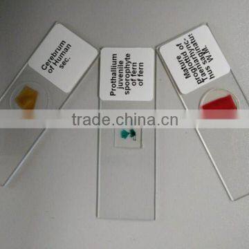 17pcs Indonesia Designated Mixed Microscope Research Glass Prepared Slides photo-2