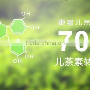 36pcs Different Kinds Flavors Chinese Yunnan Puer Tea pu er Tea Bag Gift Puerh Tea Food Weight Loss Tea photo-5