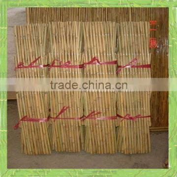 Bamboo trellis