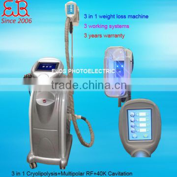 Vertical 2017 Popular Factory Price Cryolipolysis Machine For Sale 220 / 110V