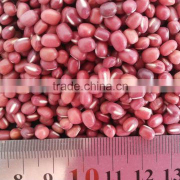 Chinese Small Red Beans(Adzuki)