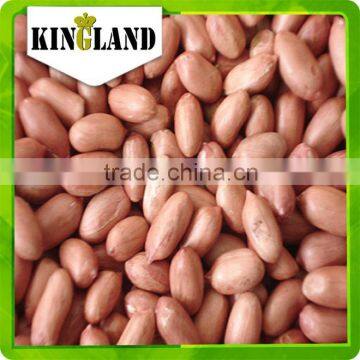 wholesale peanut kernels with best price