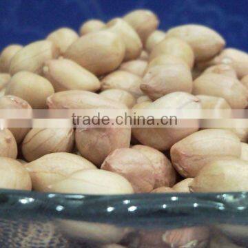 GROUNDNUT JAVA