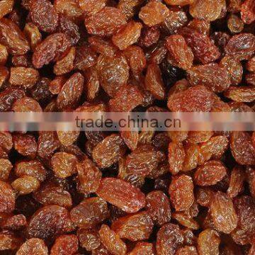 BEST RATE QUALITY INDUSTRIAL RAISIN FOR BEST RATE