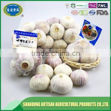 Good Price of Single Clove Garlic Packing With ISO9001 Certificate photo-2