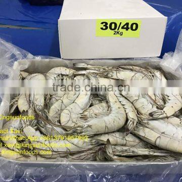 Grade A HOSO Vannamei,Shrimp Vannamei From India photo-2